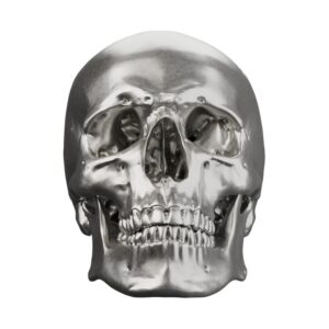 Anatomical Skull Silver Statue — the scholar's memento mori true to every suture