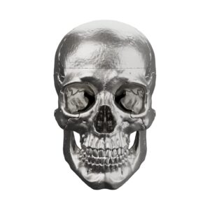 Cutaway Anatomical Skull