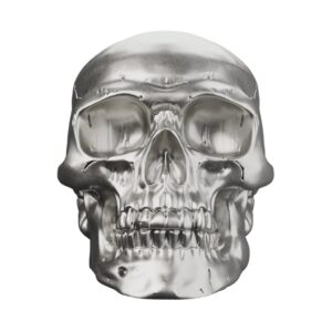Polished Skull